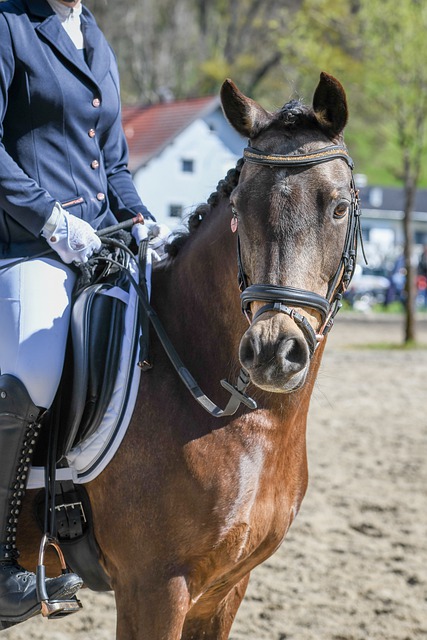 多次比賽中 多次比賽中