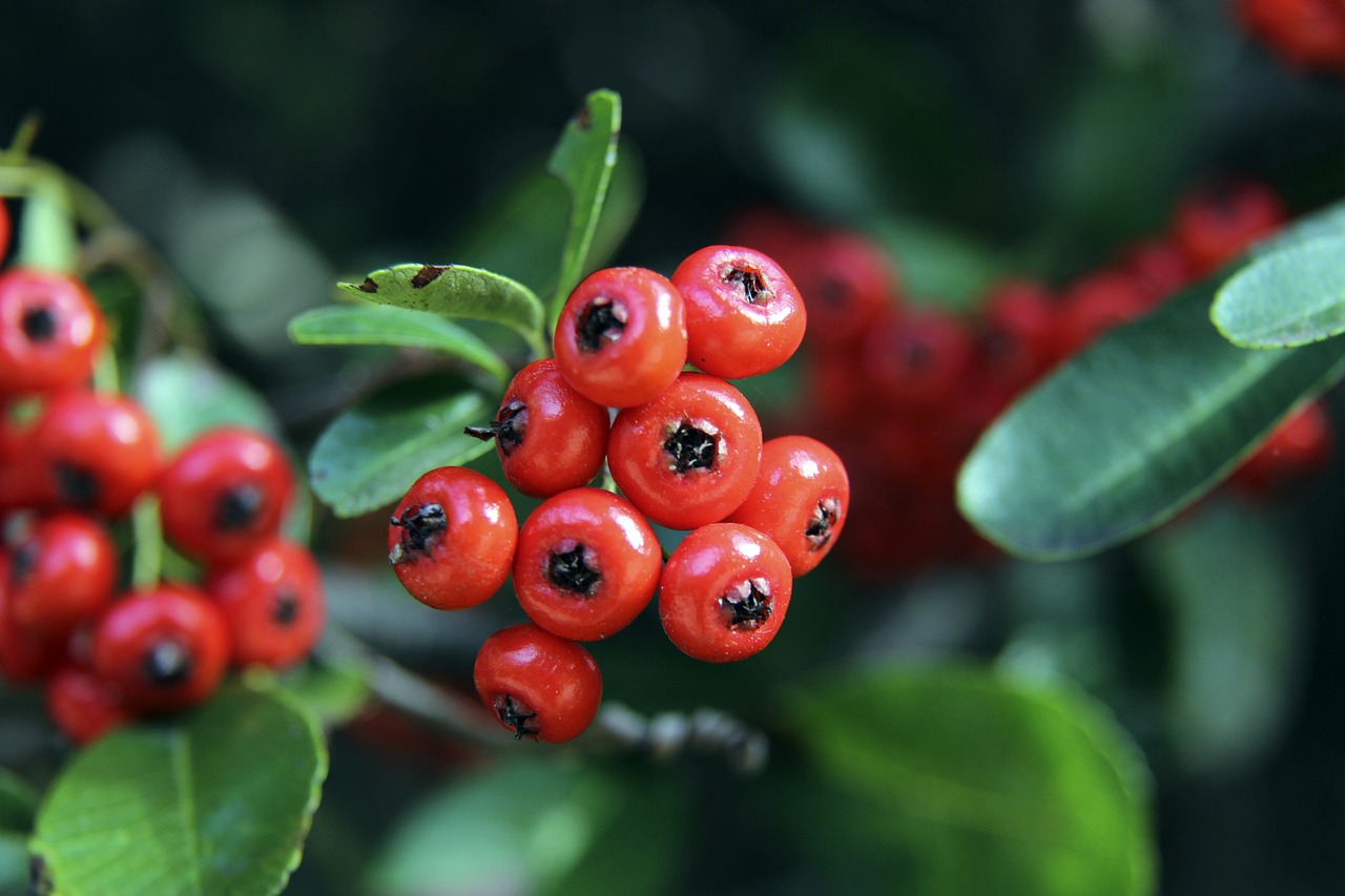 的防守和快 的防守和快