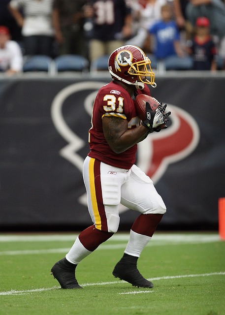 猛龙队似乎 猛龙队似乎