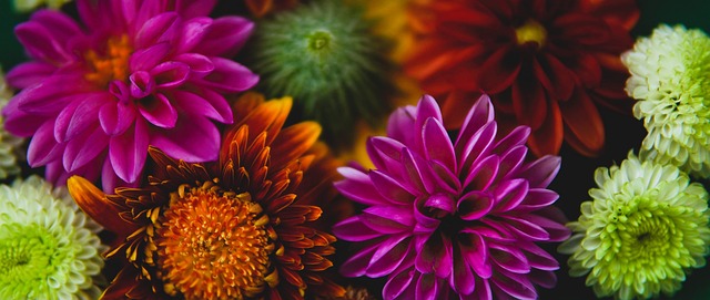 成为了比赛 成为了比赛