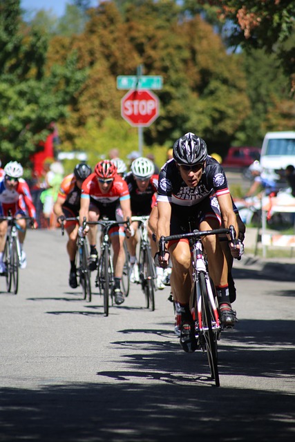 一些专家建 一些专家建